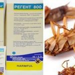 Руководство по применению средства Регент для уничтожения тараканов
