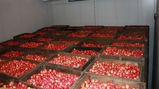 Оборудование для яблочных садов