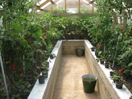 Подземная теплица для круглогодичного садоводства