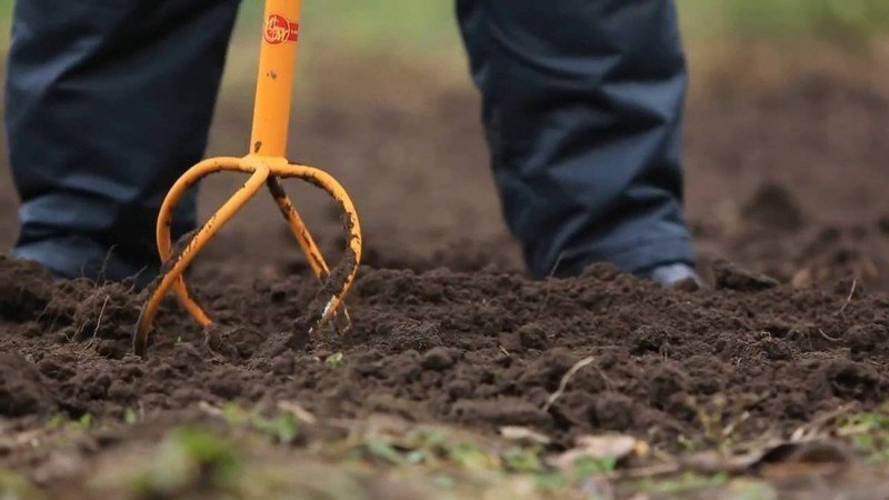 Безотвальная обработка почвы