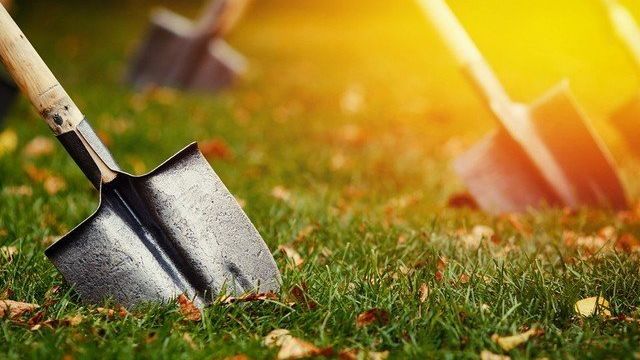 Чем заменить лопату на огороде? 7 полезных инструментов. Фото