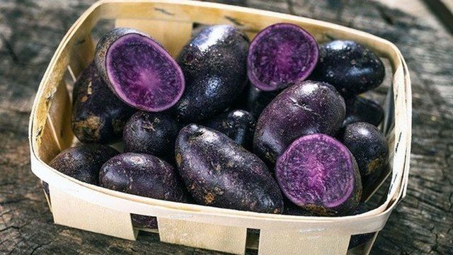 Картофель фиолетовый: описание и характеристика сорта, фото, отзывы