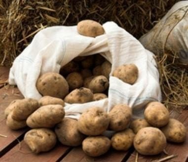 Крупный неурожай картофеля в стране