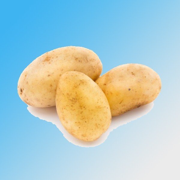 Белый картофель