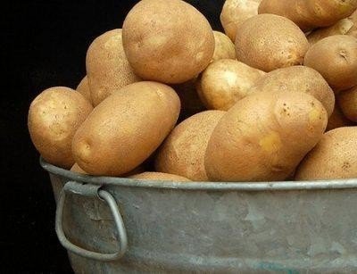 Сорт картофеля тулеевский