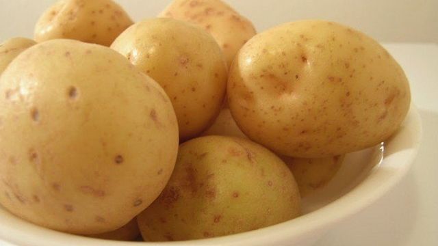 Картофель Молли – подробное описание сорта