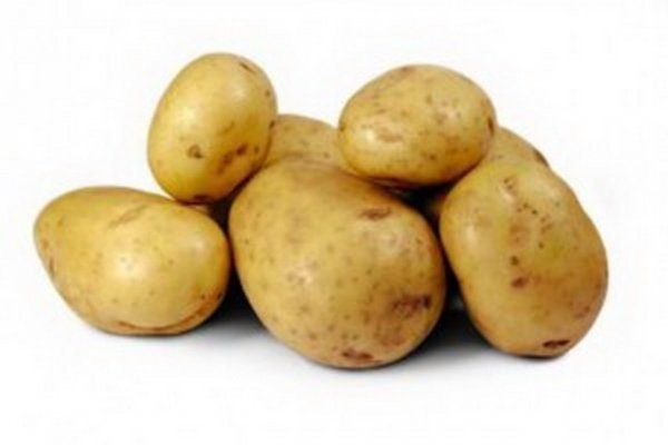 Семенной картофель гала