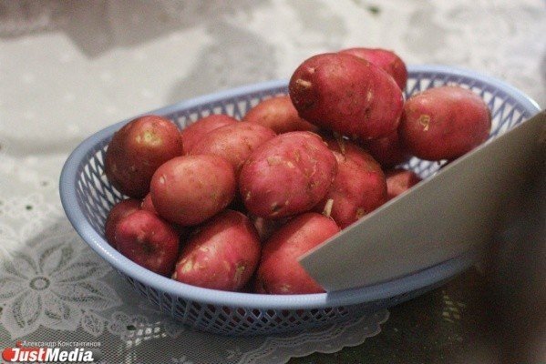 Аусония сорт картофеля