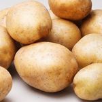 Сорт картофеля Рогнеда: описание и характеристика, отзывы