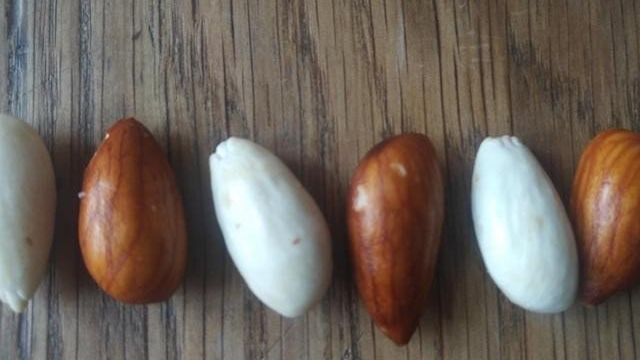 Коварная фитиновая кислота — зачем замачивать крупу, орехи, бобовые перед варкой