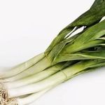 Лук-порей: секреты выращивания и хранения полезного овоща