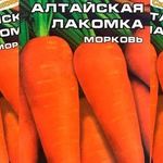 Морковь алтайская лакомка описание отзывы