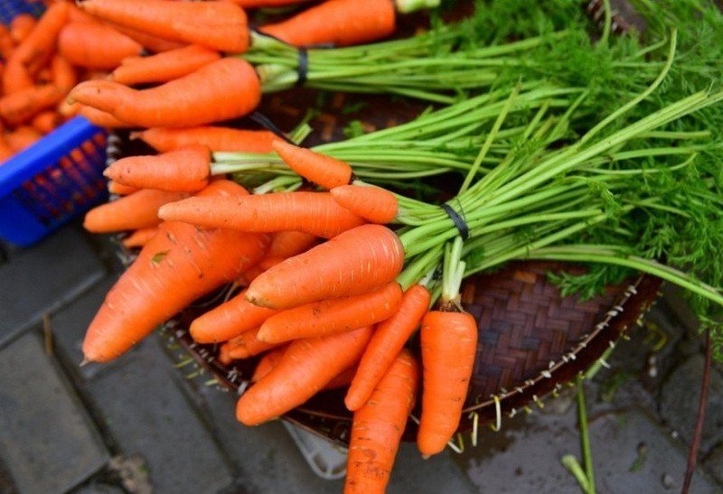 Хозяйственно ботанические сорта моркови