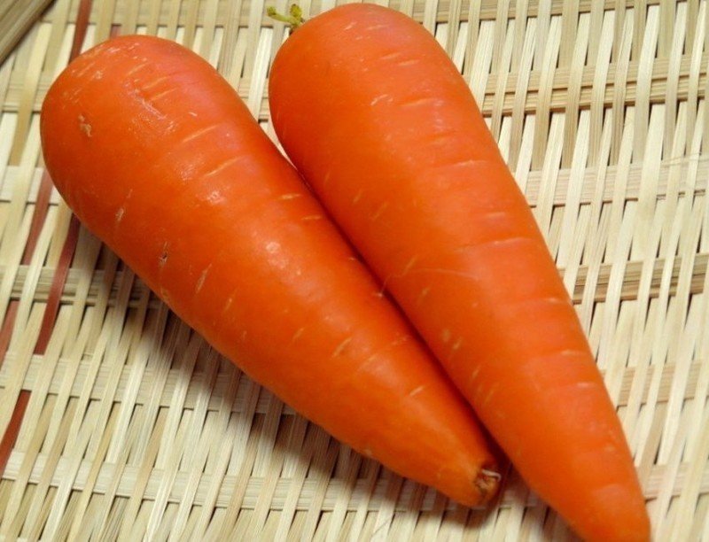 Сорт моркови красавка