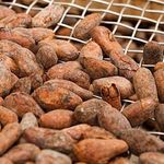 Термическая обработка какао бобов