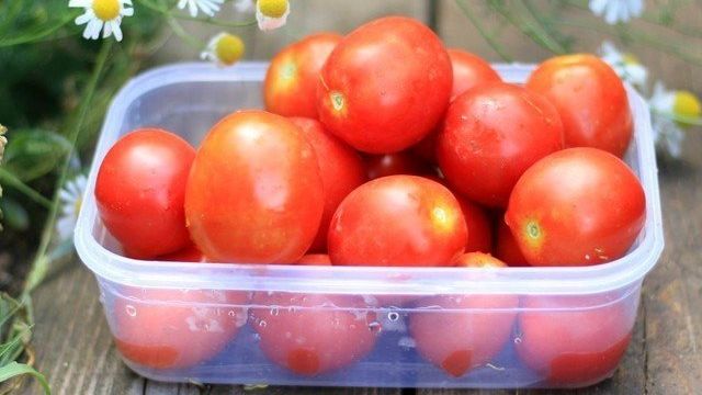 12 сортов томатов, испытанных мною в прошлом году. Личный опыт. Фото