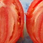 Как вырастить томат «Сердце Буйвола»? Описание, характеристика и фото среднеспелого сорта