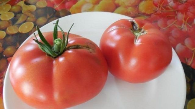 Крупноплодный томат Богатырь: подробное описание сорта, агротехника, отзывы