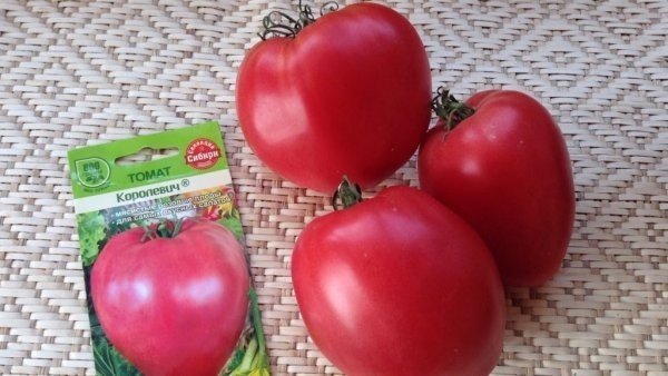 Сорт томатов бычье сердце