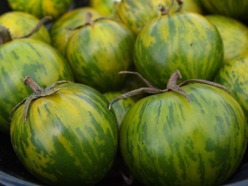 Зеленые помидоры малахитовая шкатулка