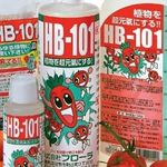 Инструкция по применению препарата НВ-101 на рассаде цветов и овощей