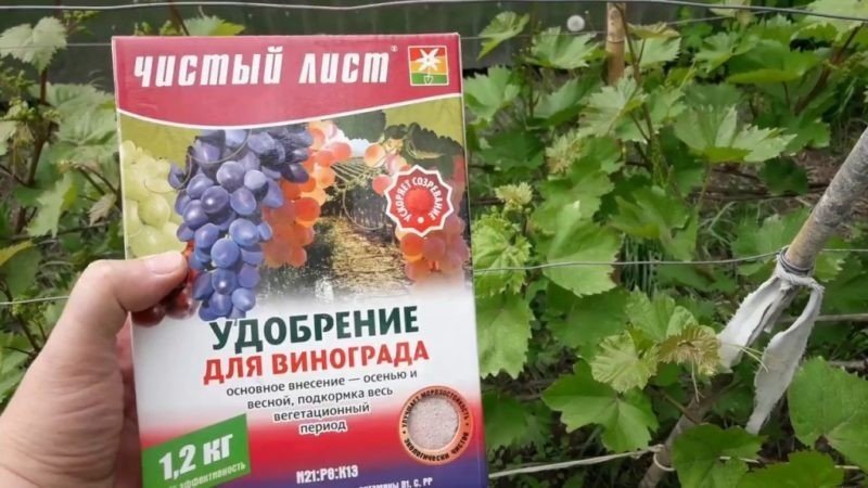 Удобрения для винограда «чистый лист»