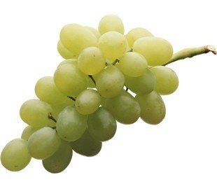 Виноград томсон белый