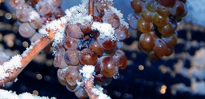 Замороженный виноград