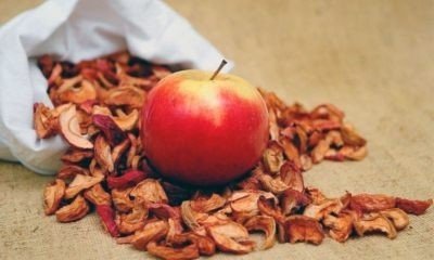 Сушеные яблоки для организма