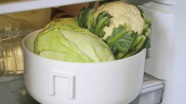 Как хранить капусту в холодильнике разрезанную частями: в пакете или без, чтобы она не гнила, не портились и не чернела