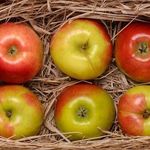 Как правильно хранить яблоки на балконе
