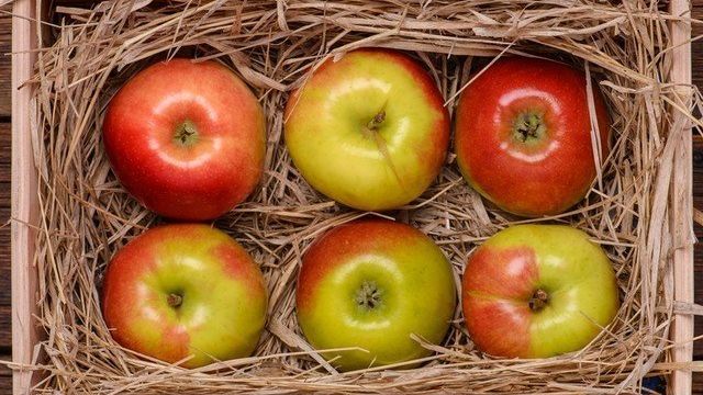 Как правильно хранить яблоки на балконе