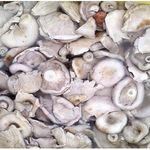 Как солить белые грузди — лучшие способы заготовки грибов на зиму