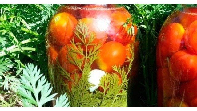 Как солить помидоры: простой рецепт приготовления на зиму