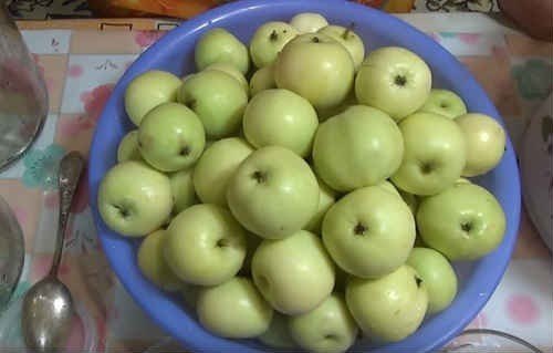 Сорта яблок для мочения антоновка